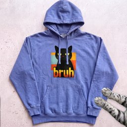 Bruh Cat Hoodie Gift For Cat Lover