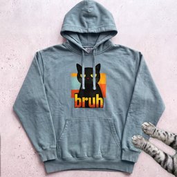 Bruh Cat Hoodie Gift For Cat Lover
