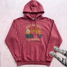 Best Cat Dad Ever Hoodie Gift For Dad