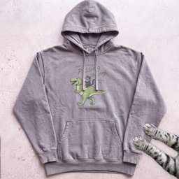 Cat Riding Dinosaur Hoodie Gift For Cat Lover