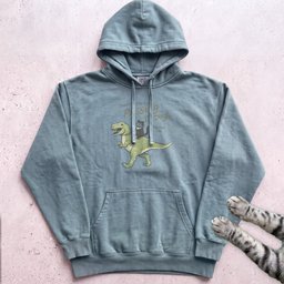 Cat Riding Dinosaur Hoodie Gift For Cat Lover