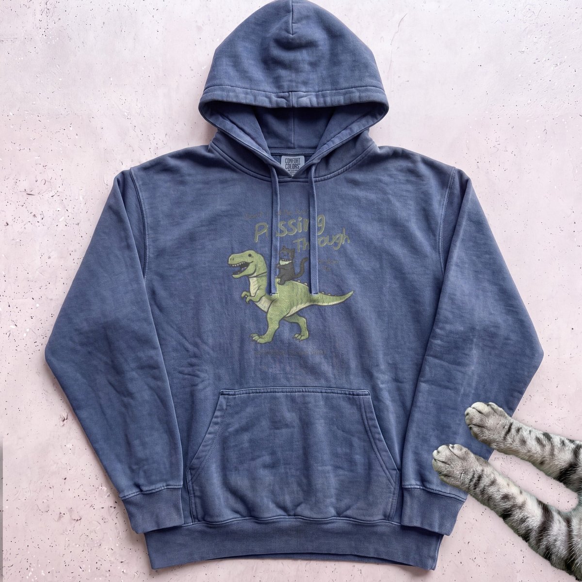 Cat Riding Dinosaur Hoodie Gift For Cat Lover
