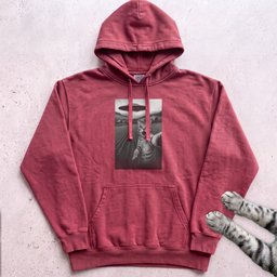 Cat Selfie With Ufo Hoodie Gift For Cat Lover