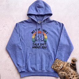 My Cat And I Talk About You Personalized Hoodie Gift For Cat Lover