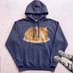 Orange Loafing Cat Hoodie Gift For Cat Lover