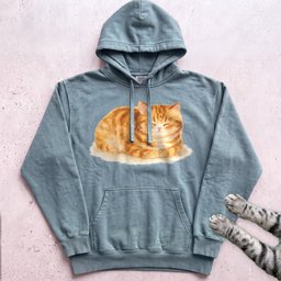 Orange Loafing Cat Hoodie Gift For Cat Lover