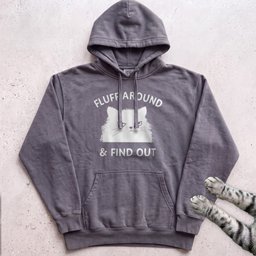 Fluff Around And Find Out Cat Hoodie Gift For Cat Lover