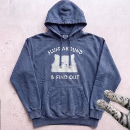 Fluff Around And Find Out Cat Hoodie Gift For Cat Lover