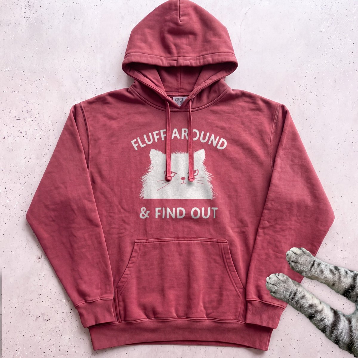 Fluff Around And Find Out Cat Hoodie Gift For Cat Lover