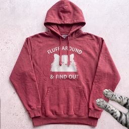 Fluff Around And Find Out Cat Hoodie Gift For Cat Lover