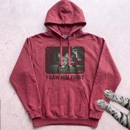 Caught On Camera Cat Hoodie Gift For Cat Lover