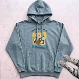 In A Constant State Of Realizing Cat Hoodie Gift For Cat Lover