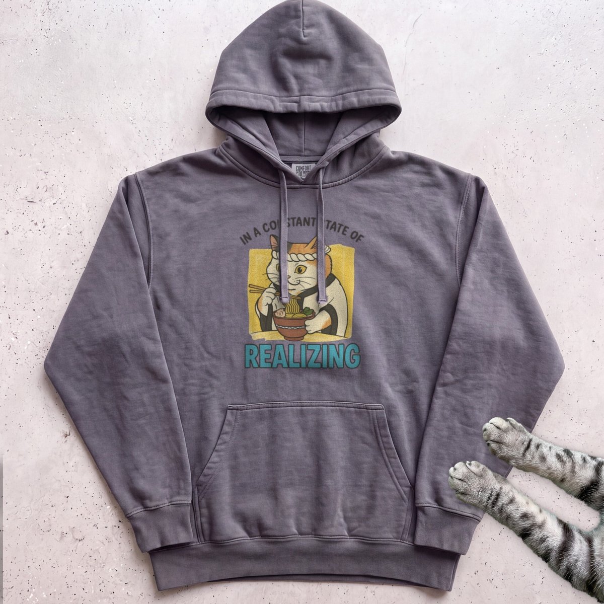 In A Constant State Of Realizing Cat Hoodie Gift For Cat Lover