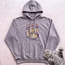 Custom Cat Graphic Hoodie Retro Portraits Personalized Cat Gift For Cat Lover
