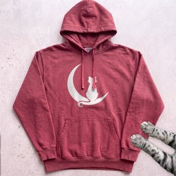 Cat On Crescent Moon Hoodie Gift For Cat Lover