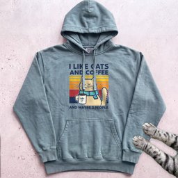 I Like Cats And Coffee Hoodie Gift For Cat Lover