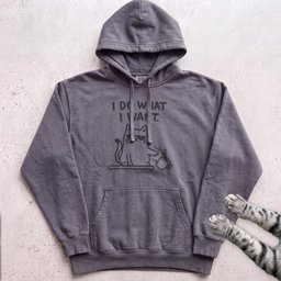 I Do What I Want Cat Hoodie Gift For Cat Lover