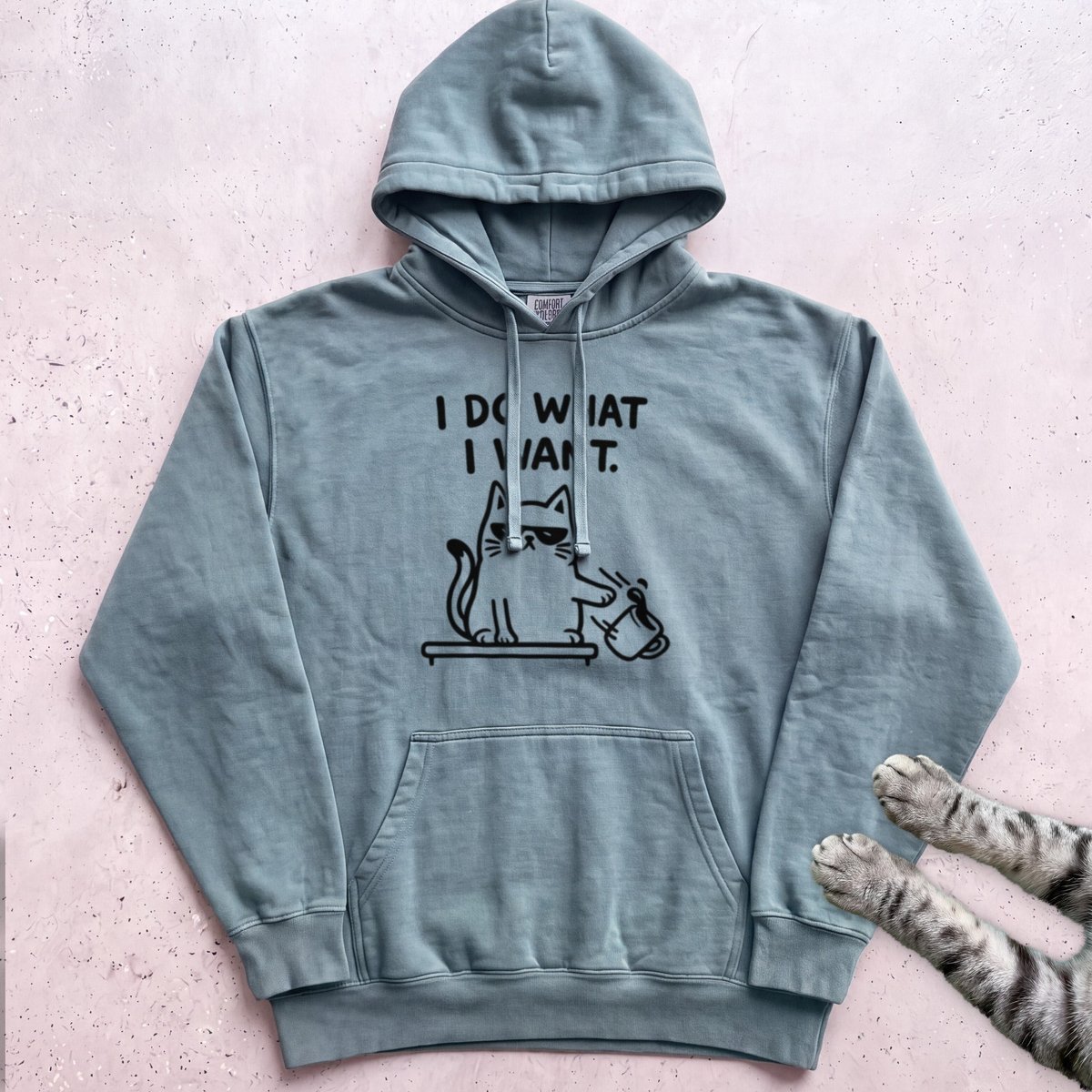 I Do What I Want Cat Hoodie Gift For Cat Lover