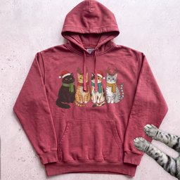 Four Festive Cats Hoodie Gift For Cat Lover