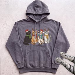 Four Festive Cats Hoodie Gift For Cat Lover
