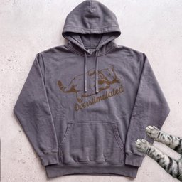 Overstimulated Cat Hoodie Gift For Cat Lover