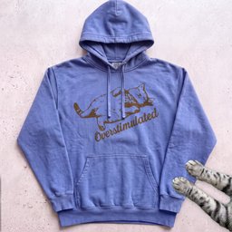 Overstimulated Cat Hoodie Gift For Cat Lover