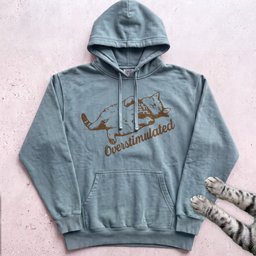 Overstimulated Cat Hoodie Gift For Cat Lover