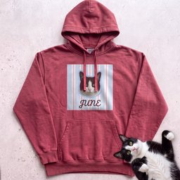 Personalized Cat Hoodie Custom Pet Portrait Name Cute Black And White Cat Design Gift For Cat Lover