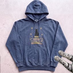 Mystic Cat On Books Hoodie Gift For Cat Lover