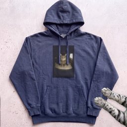 Cat Playing In Computer Hoodie Gift For Cat Lover