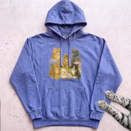 Cute Kitten Cluster Hoodie Gift For Cat Lover