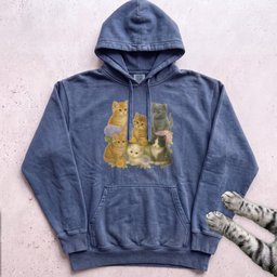 Cute Kitten Cluster Hoodie Gift For Cat Lover