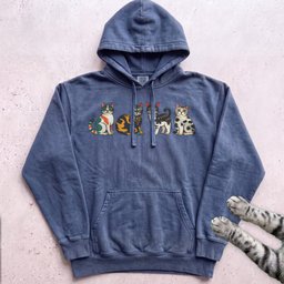 Cute Colorful Cats Hoodie Gift For Cat Lover