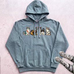 Cute Colorful Cats Hoodie Gift For Cat Lover