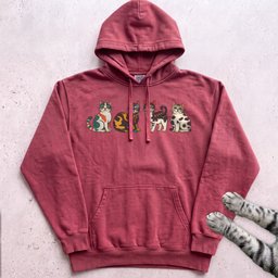 Cute Colorful Cats Hoodie Gift For Cat Lover