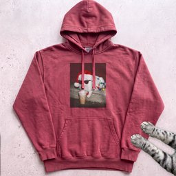 Peppermint Latte Cat Hoodie Gift For Cat Lover