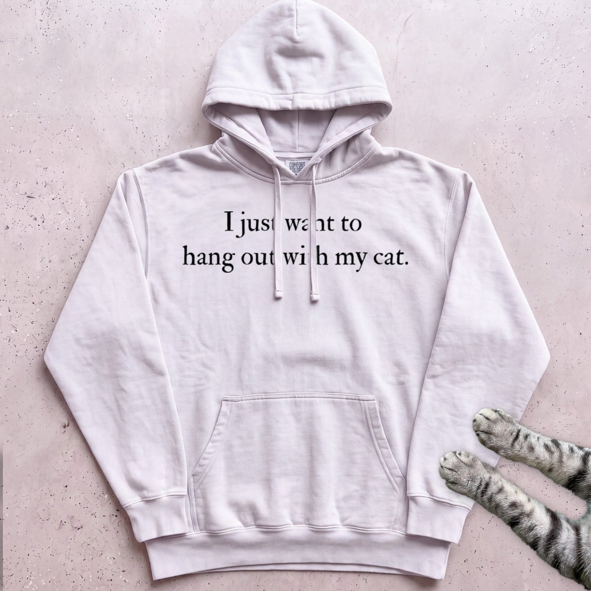 I Just Want To Hang Out With My Cat Hoodie Gift For Cat Lover