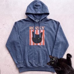 Personalized Cat Graphic Hoodie Retro Pink Stripe Black Cat Hoodie Gift For Cat Lover