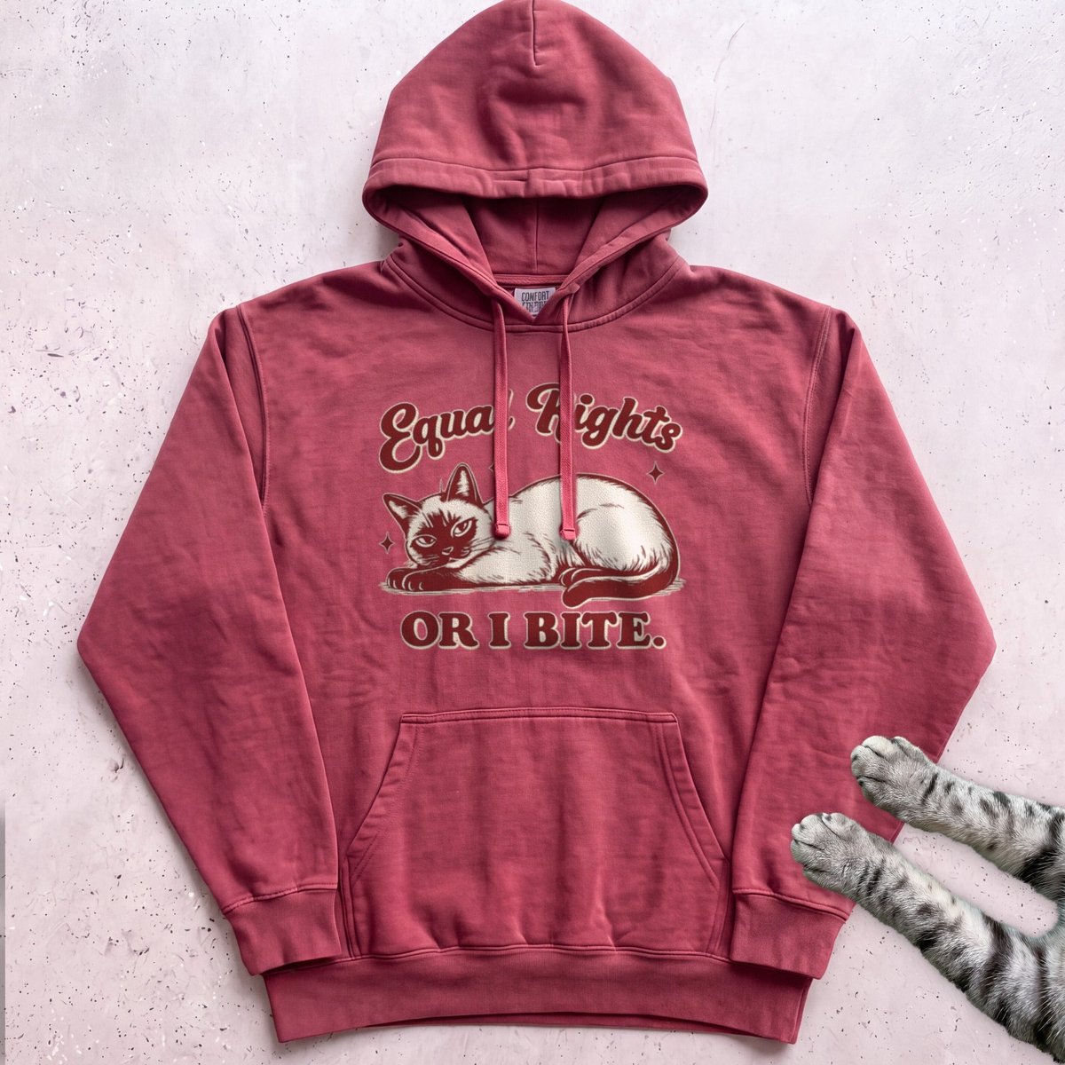 Equal Rights Or I Bite Cat Hoodie Gift For Cat Lover