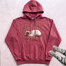 Equal Rights Or I Bite Cat Hoodie Gift For Cat Lover