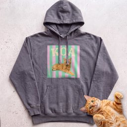 Personalized Cat Graphic Hoodie Retro Pink And Green Stripes Gift For Cat Lover