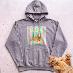 Personalized Cat Graphic Hoodie Retro Pink And Green Stripes Gift For Cat Lover