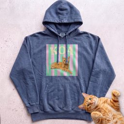 Personalized Cat Graphic Hoodie Retro Pink And Green Stripes Gift For Cat Lover