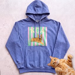 Personalized Cat Graphic Hoodie Retro Pink And Green Stripes Gift For Cat Lover