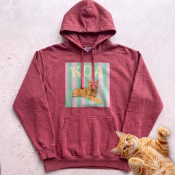 Personalized Cat Graphic Hoodie Retro Pink And Green Stripes Gift For Cat Lover