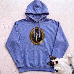 Personalized Count Vampire Cat Hoodie Gift For Cat Lover