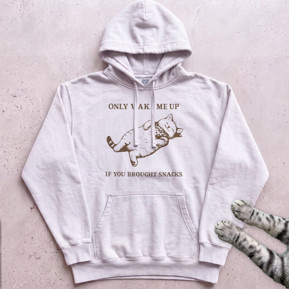 Only Wake Me Up If You Brought Snacks Hoodie Gift For Cat Lover