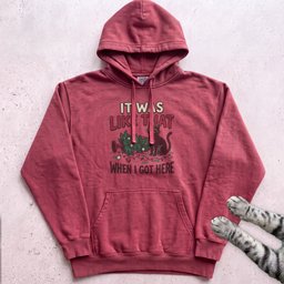 IT Was Like That When I Got Here Cat Hoodie Gift For Cat Lover