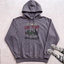 IT Was Like That When I Got Here Cat Hoodie Gift For Cat Lover