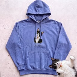 Personalized Cat Hoodie Cat Custom Illustration Hoodie Gift For Cat Lover